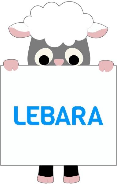 Lebara SIM only deals