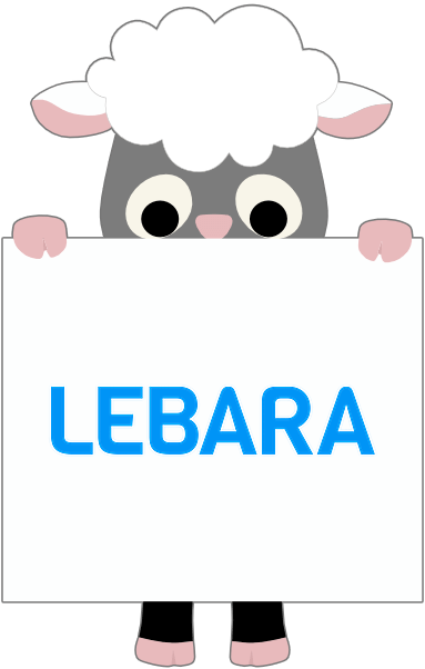Lebara SIM only offers Lebara SIM only offers