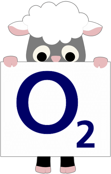 O2 Mobile offers