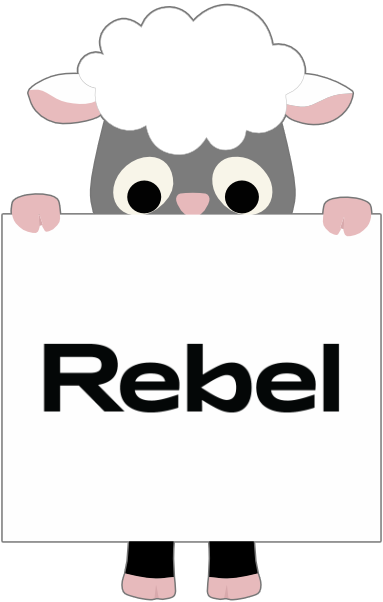 Rebel Broadband offers