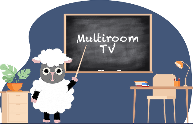 How to get multiroom TV